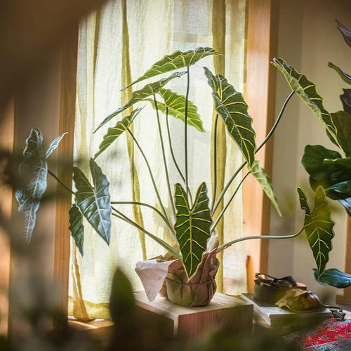 Artificial Faux Alocasia Plant In Pot 31" Tall