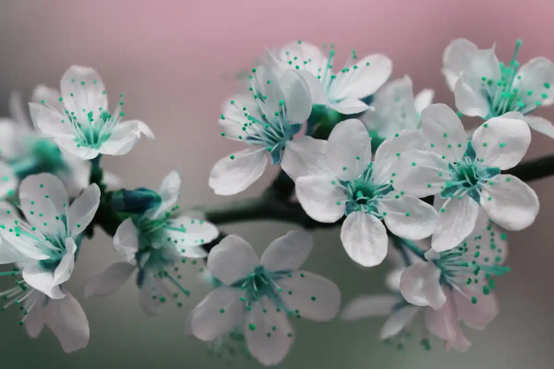 Pretty Blooms Wall Art