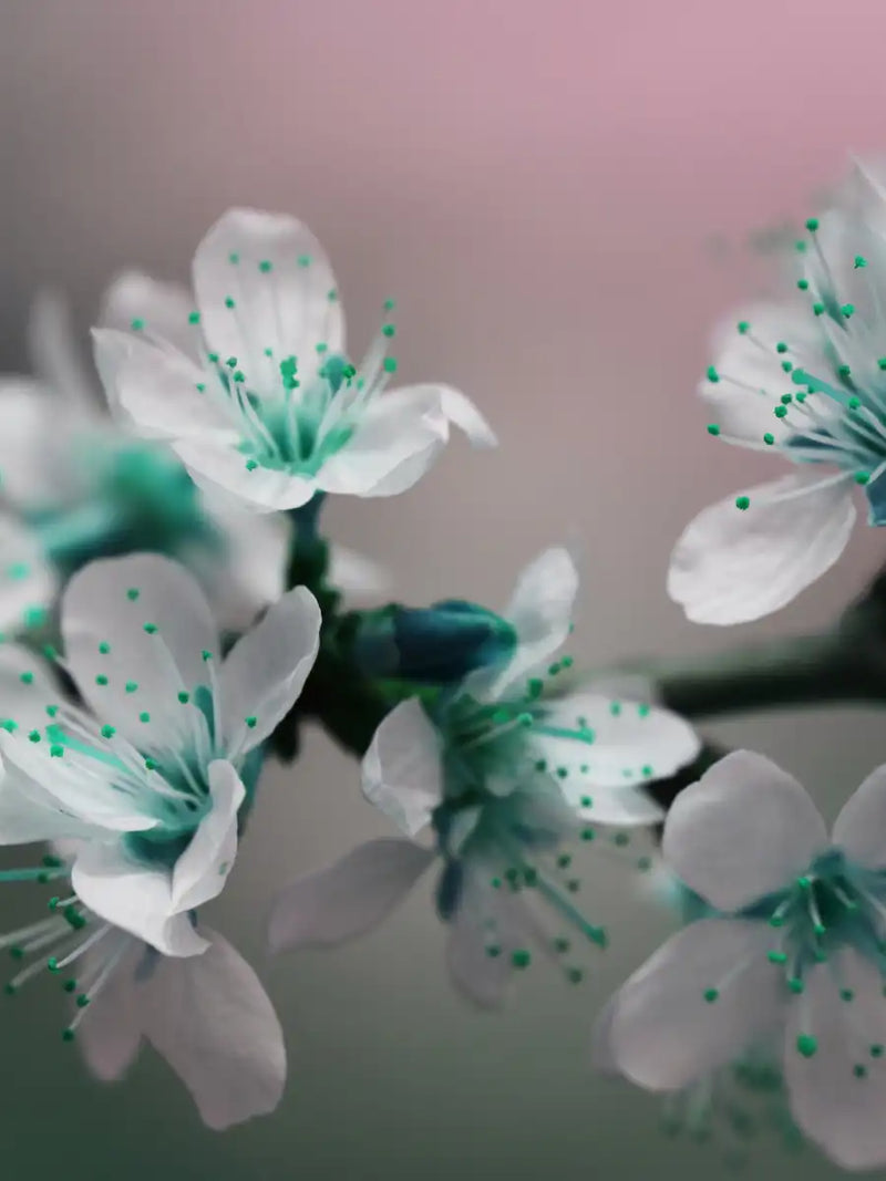 Pretty Blooms Wall Art