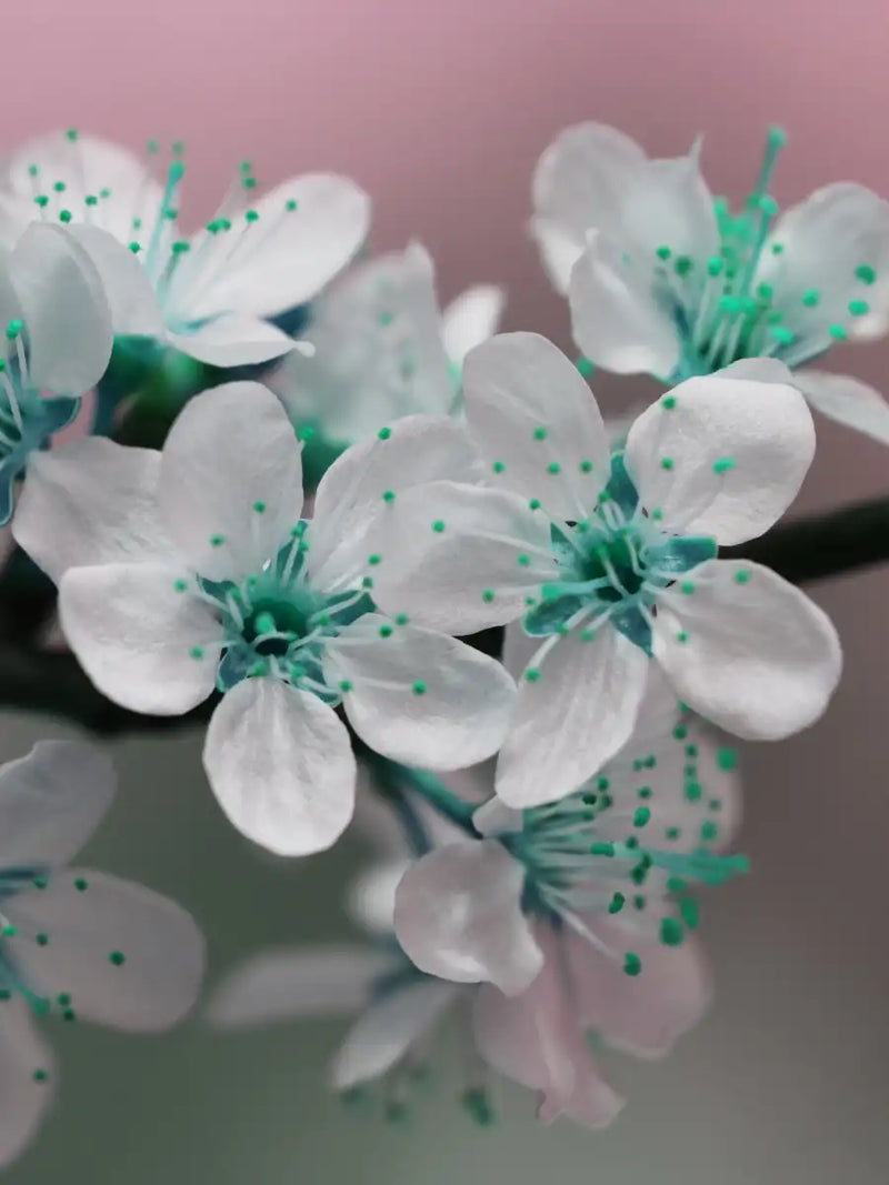 Pretty Blooms Wall Art