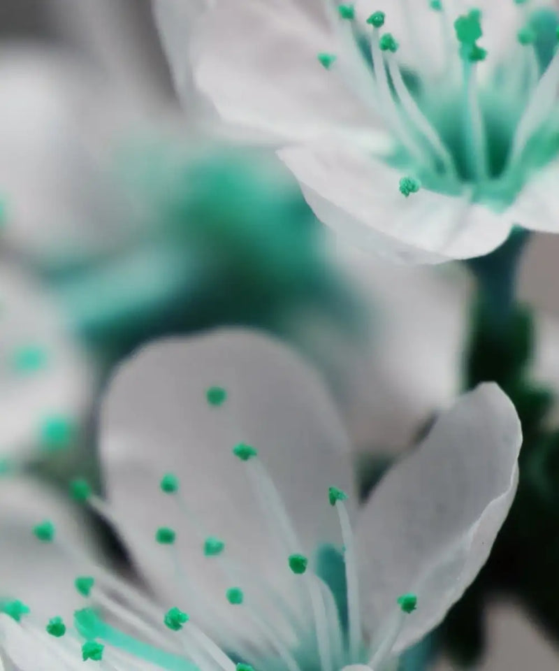 Pretty Blooms Wall Art
