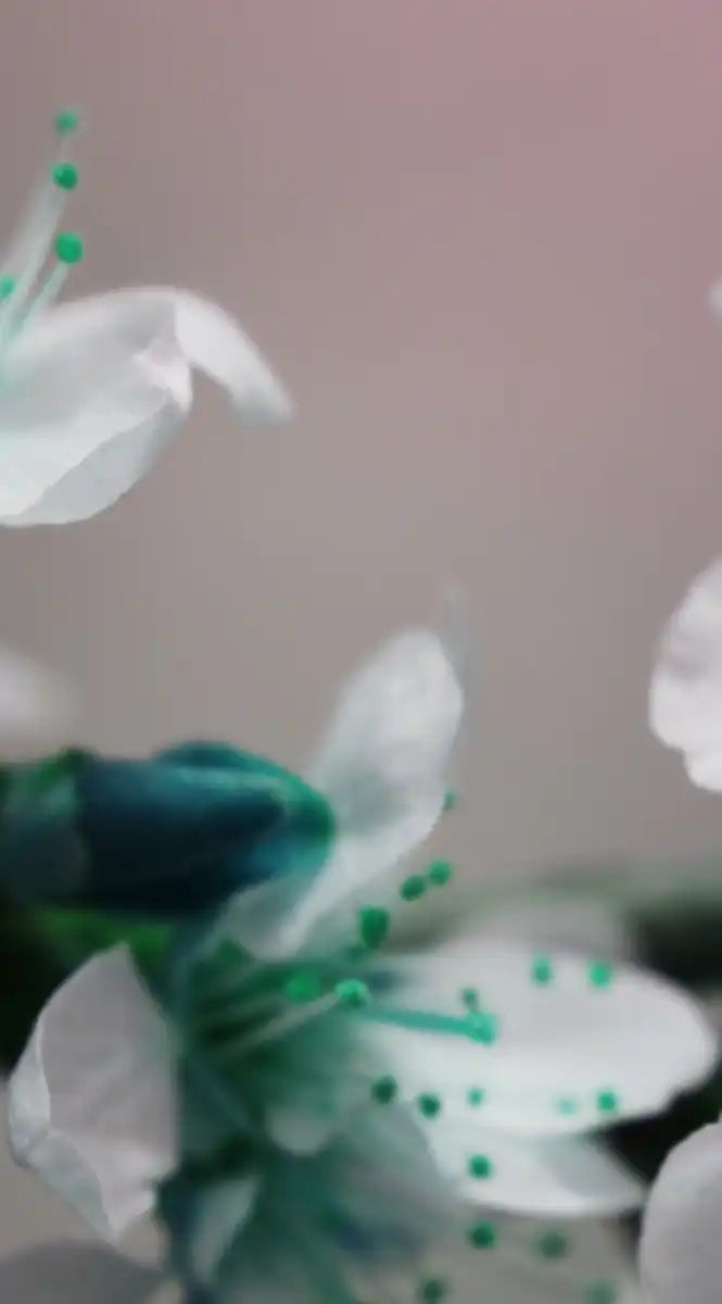 Pretty Blooms Wall Art