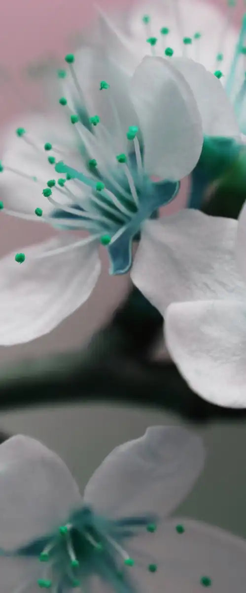Pretty Blooms Wall Art