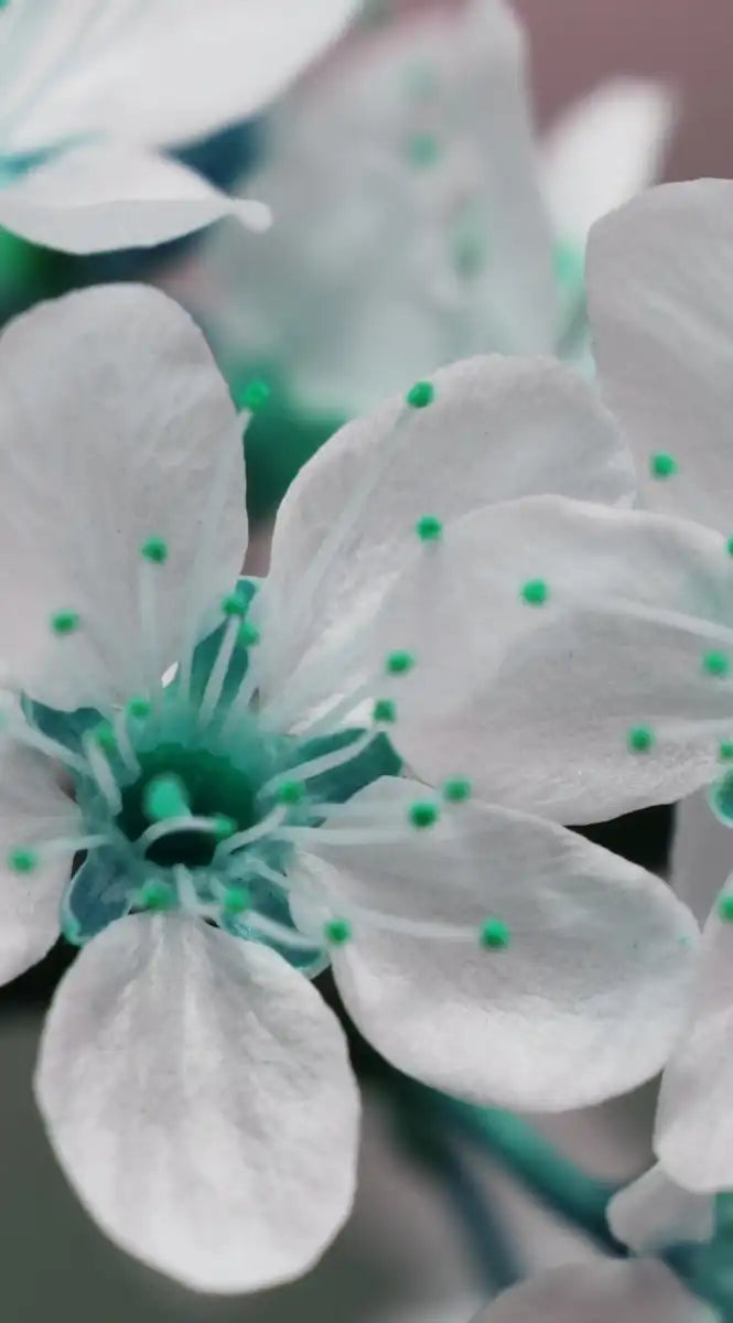 Pretty Blooms Wall Art
