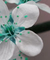 Pretty Blooms Wall Art