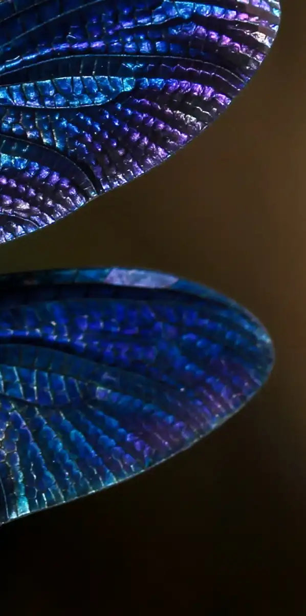 Prismatic Dragonfly Wall Art
