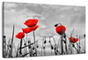 Pop Red Poppies Wall Art