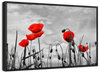 Pop Red Poppies Wall Art