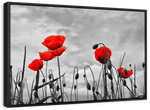 Pop Red Poppies Wall Art