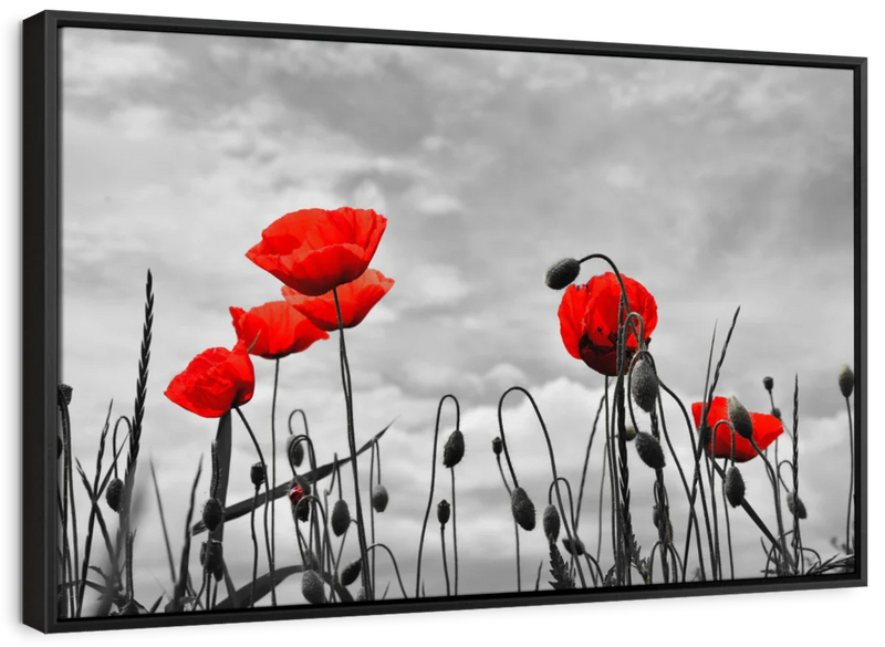Pop Red Poppies Wall Art