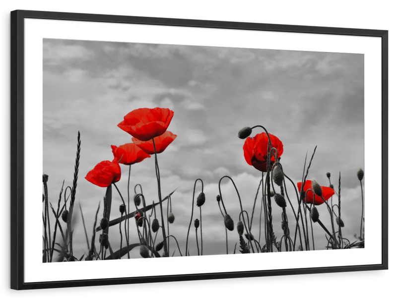 Pop Red Poppies Wall Art