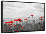 Red Poppy Field Pop Wall Art