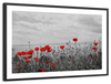 Red Poppy Field Pop Wall Art