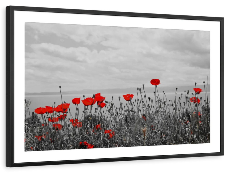 Red Poppy Field Pop Wall Art