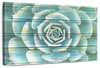 Succulent Plant Bloom Wall Art
