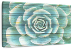 Succulent Plant Bloom Wall Art