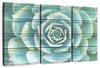 Succulent Plant Bloom Wall Art