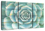 Succulent Plant Bloom Wall Art