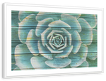 Succulent Plant Bloom Wall Art