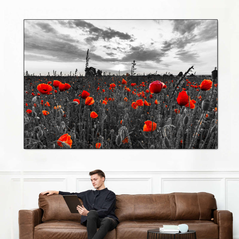 Poppy Field At Dusk Pop Wall Art