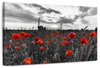 Poppy Field At Dusk Pop Wall Art