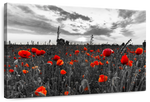 Poppy Field At Dusk Pop Wall Art