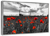 Poppy Field At Dusk Pop Wall Art