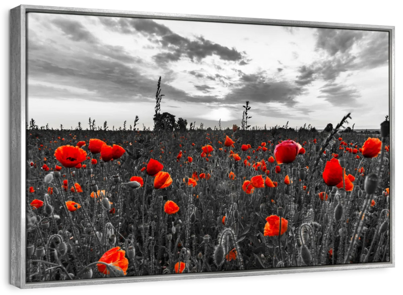 Poppy Field At Dusk Pop Wall Art