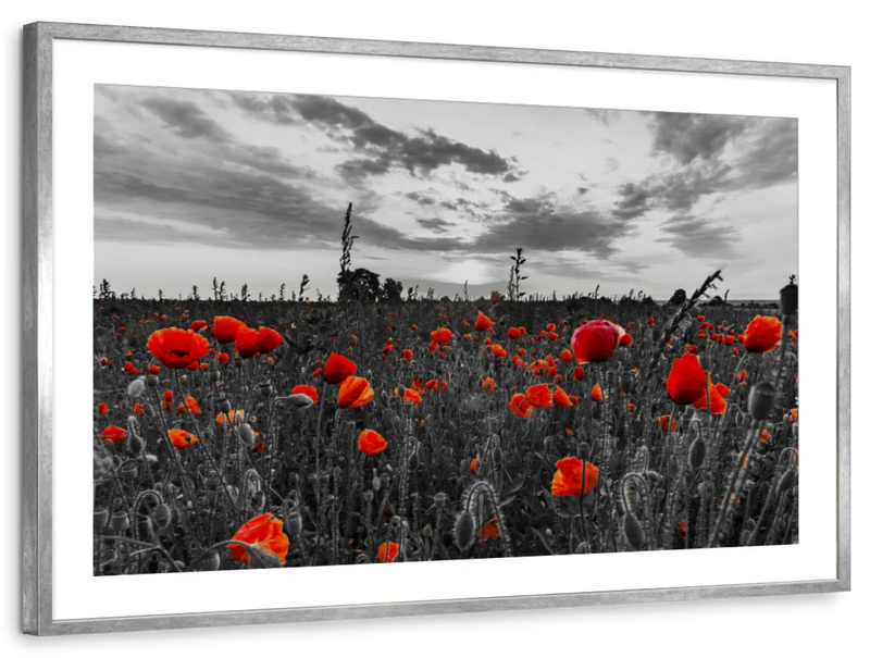 Poppy Field At Dusk Pop Wall Art