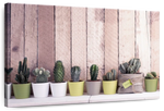 Succulent Plant Pots Wall Art