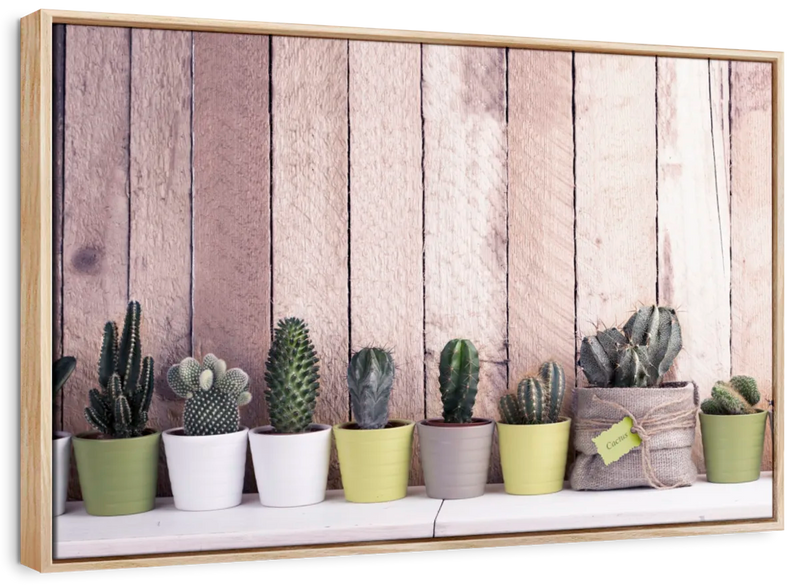 Succulent Plant Pots Wall Art