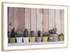 Succulent Plant Pots Wall Art
