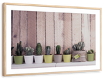Succulent Plant Pots Wall Art