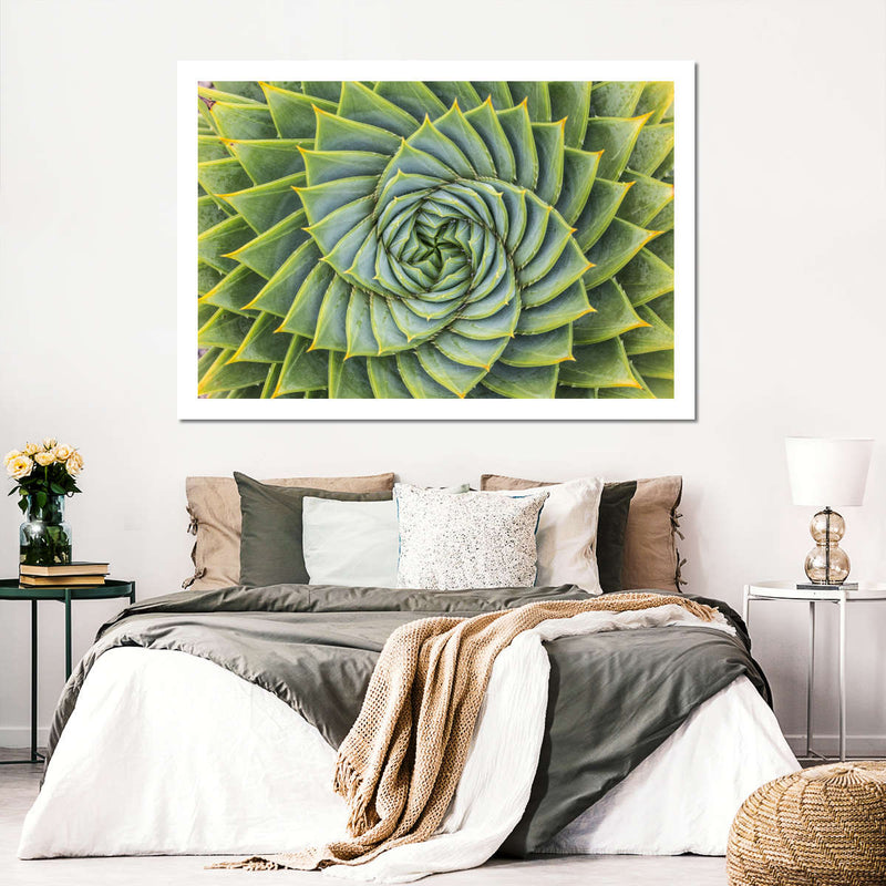 Spiral Succulent Wall Art