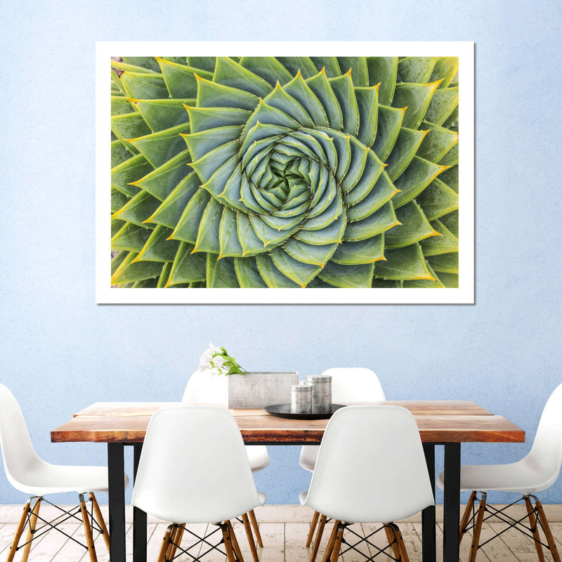 Spiral Succulent Wall Art