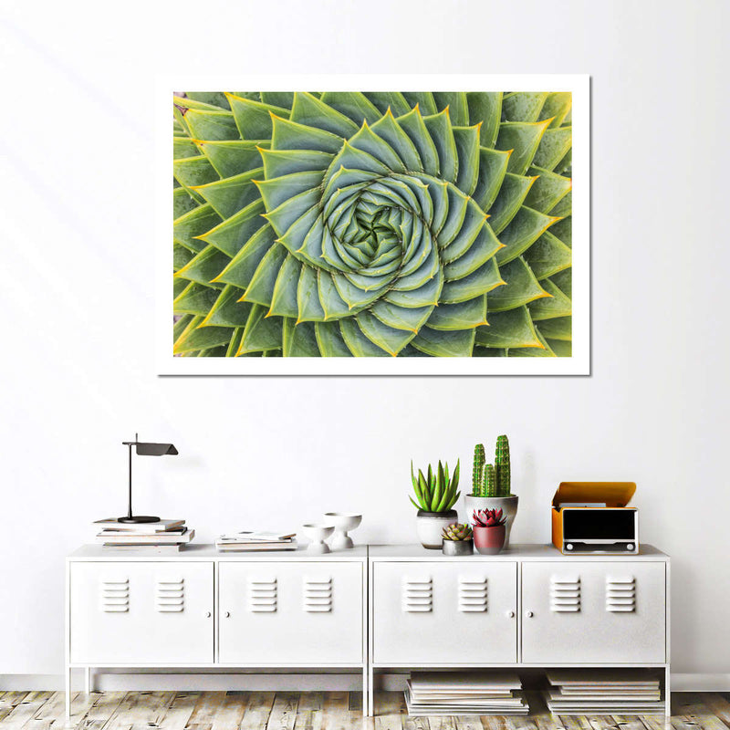 Spiral Succulent Wall Art