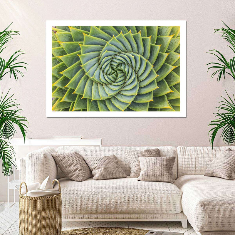 Spiral Succulent Wall Art