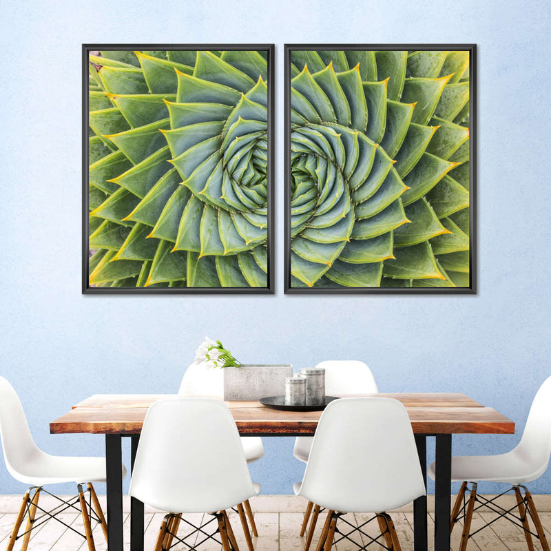 Spiral Succulent Wall Art