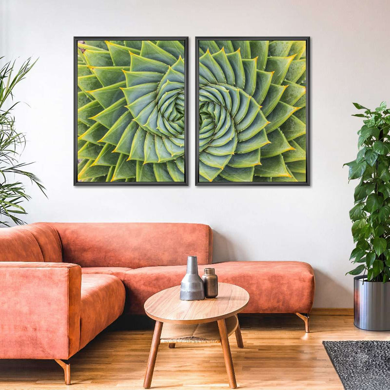 Spiral Succulent Wall Art