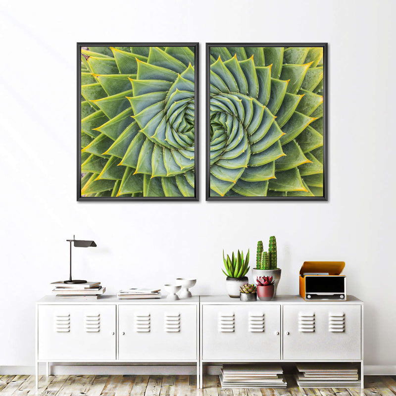 Spiral Succulent Wall Art