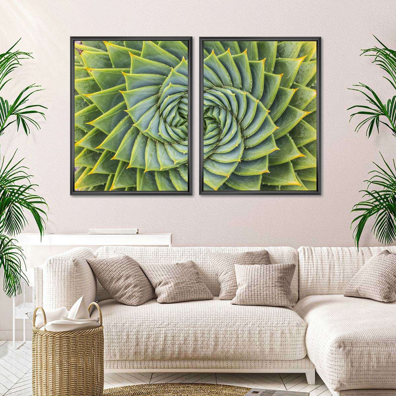 Spiral Succulent Wall Art