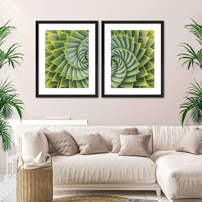 Spiral Succulent Wall Art
