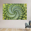 Spiral Succulent Wall Art