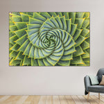 Spiral Succulent Wall Art