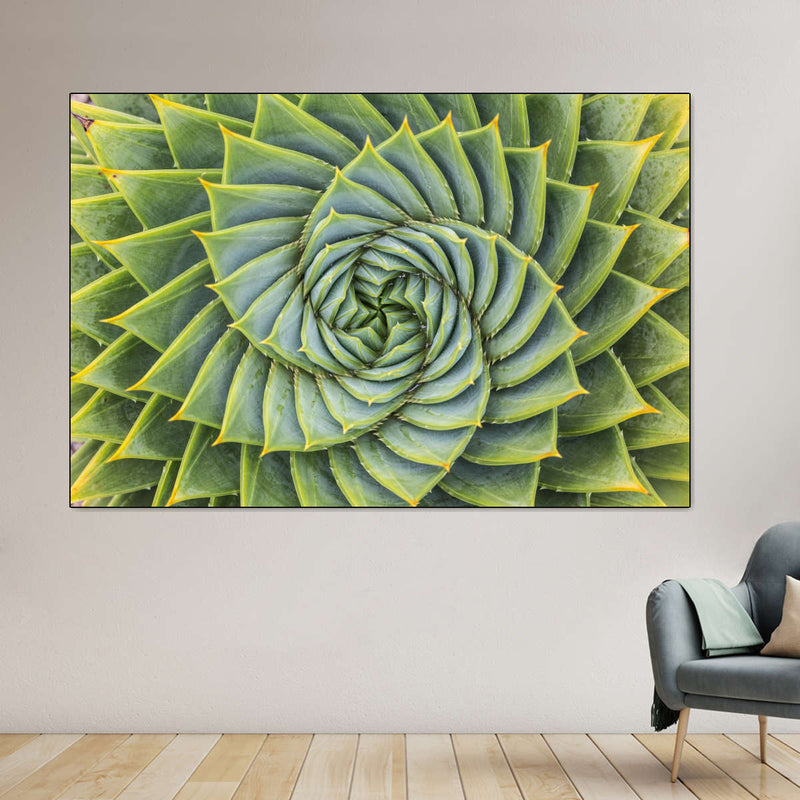 Spiral Succulent Wall Art