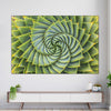 Spiral Succulent Wall Art