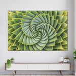Spiral Succulent Wall Art