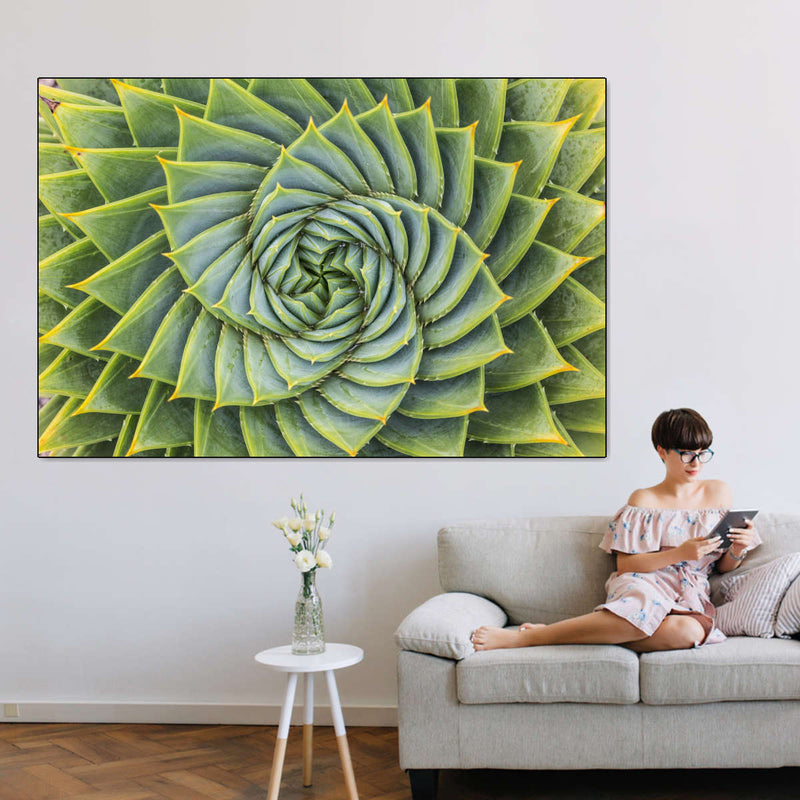 Spiral Succulent Wall Art