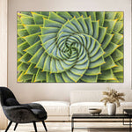 Spiral Succulent Wall Art