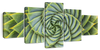 Spiral Succulent Wall Art